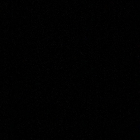 Meet your Posher, Jake - Picture 1 of 1